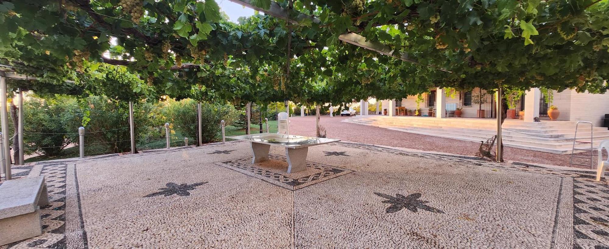 Finca El Descanso Manchego 塔兰肯 外观 照片